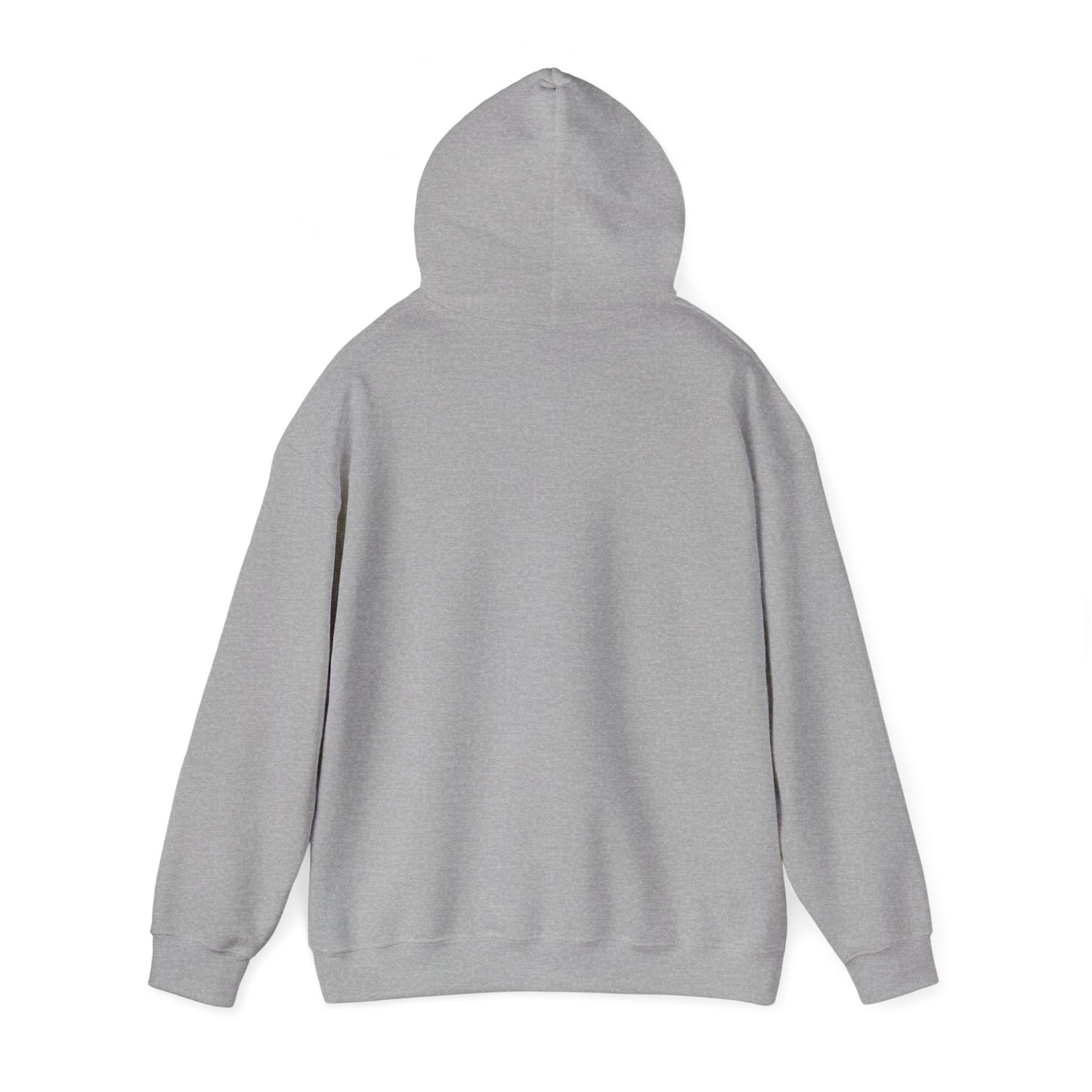 Hooded Sweatshirt - RS Cosworth Track Nurburgring Race